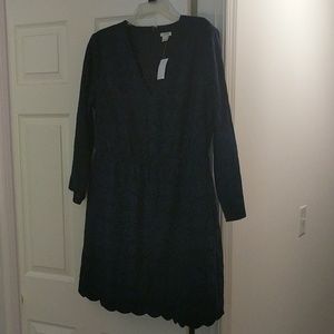 J Crew Dress
